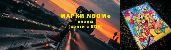 молекула духа Вяземский