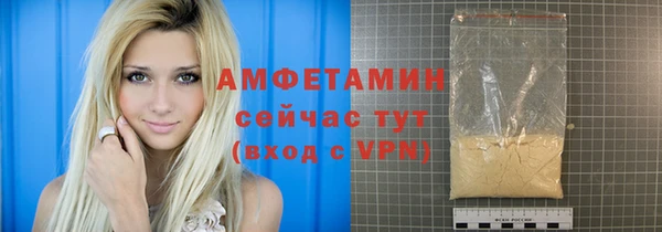 молекула духа Вяземский